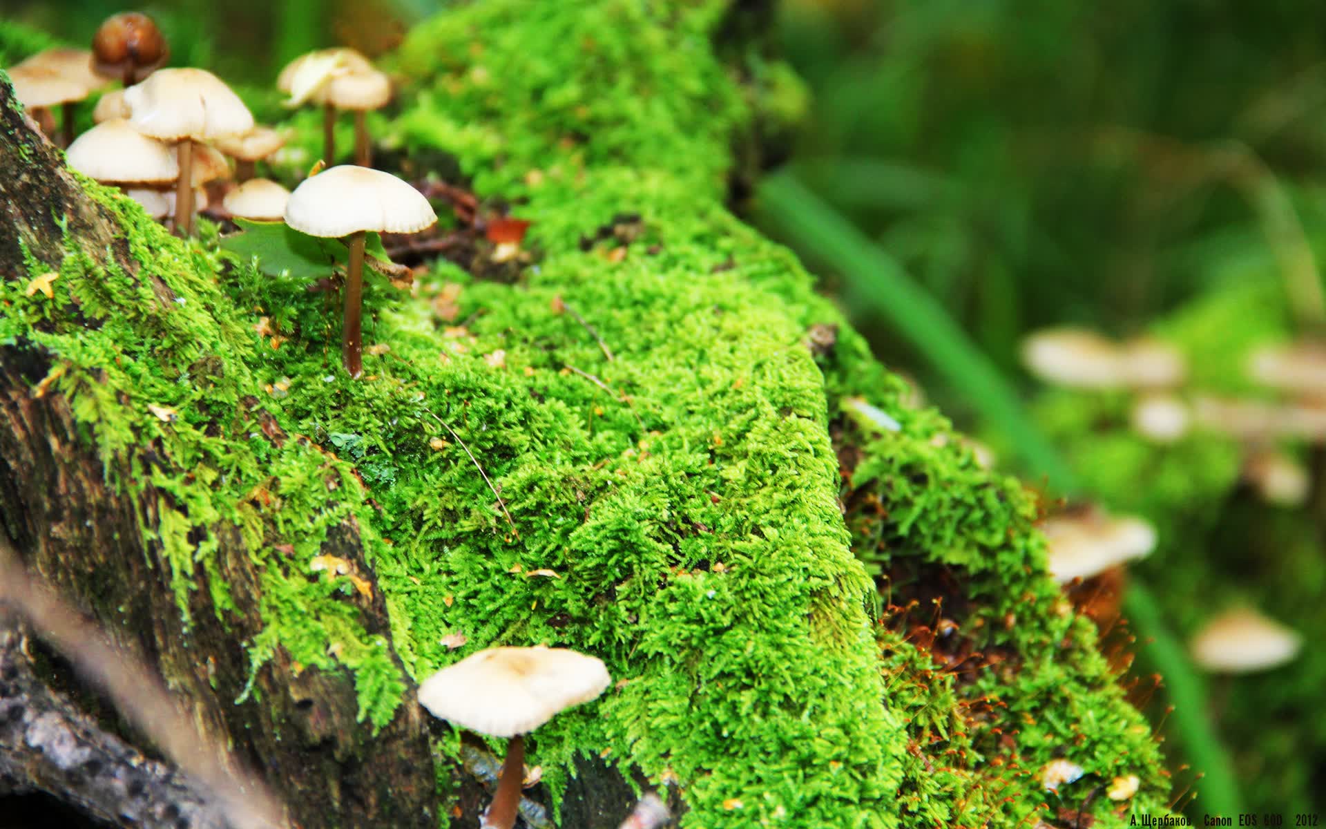 世界游艇青年赛赛事志愿者跨界技能培训启动，游艇协会